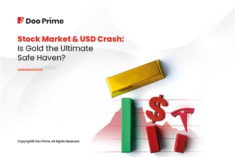 usd crash cover